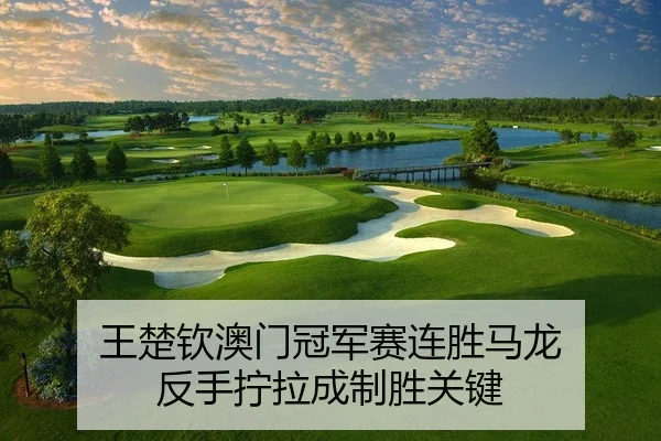 王楚钦澳门冠军赛连胜马龙 反手拧拉成制胜关键