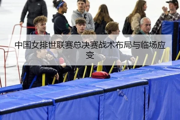 中国女排世联赛总决赛战术布局与临场应变